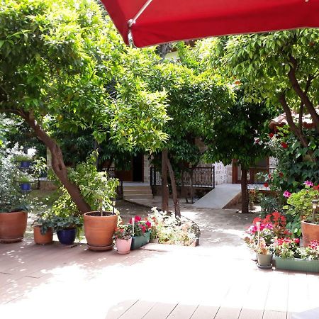 Citrus Garden Hotel أنطاليا المظهر الخارجي الصورة