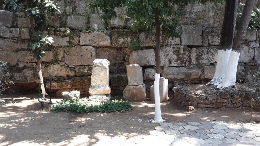 Citrus Garden Hotel أنطاليا المظهر الخارجي الصورة