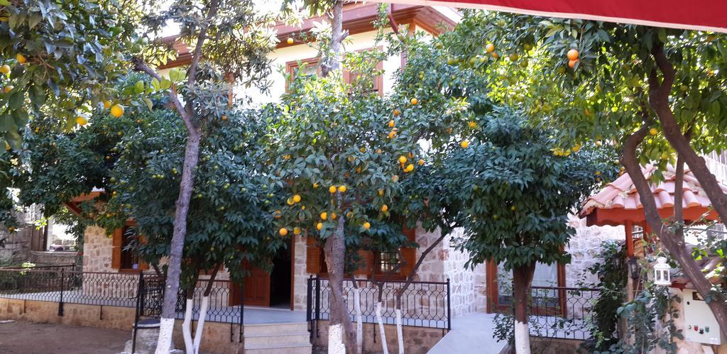 Citrus Garden Hotel أنطاليا المظهر الخارجي الصورة