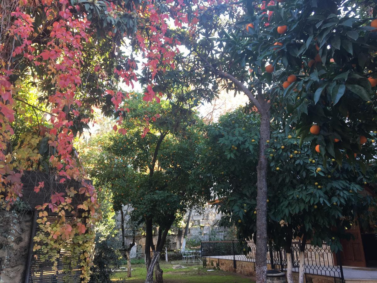 Citrus Garden Hotel أنطاليا المظهر الخارجي الصورة