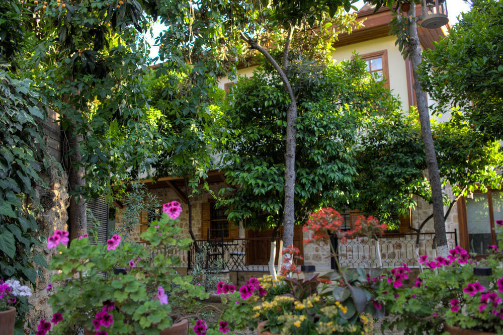 Citrus Garden Hotel أنطاليا المظهر الخارجي الصورة