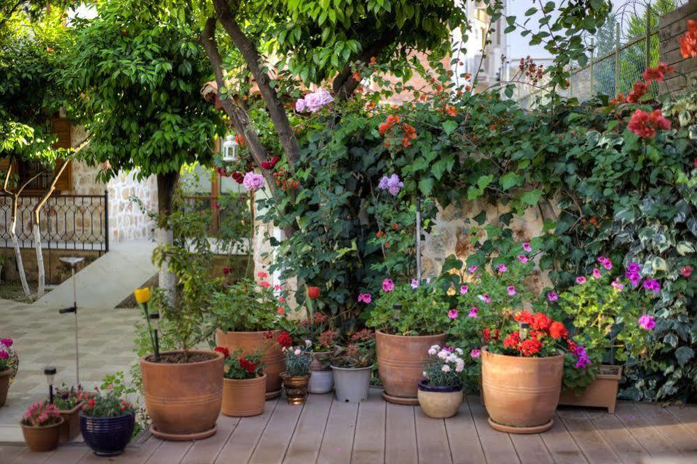 Citrus Garden Hotel أنطاليا المظهر الخارجي الصورة