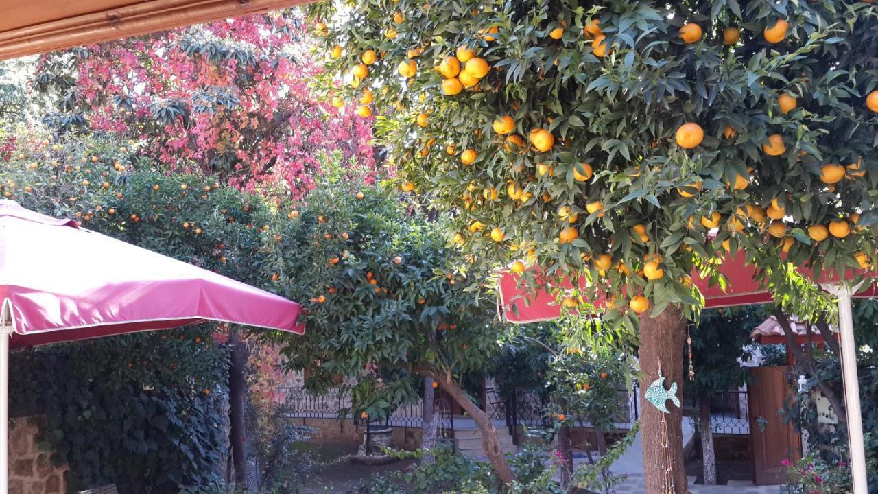 Citrus Garden Hotel أنطاليا المظهر الخارجي الصورة