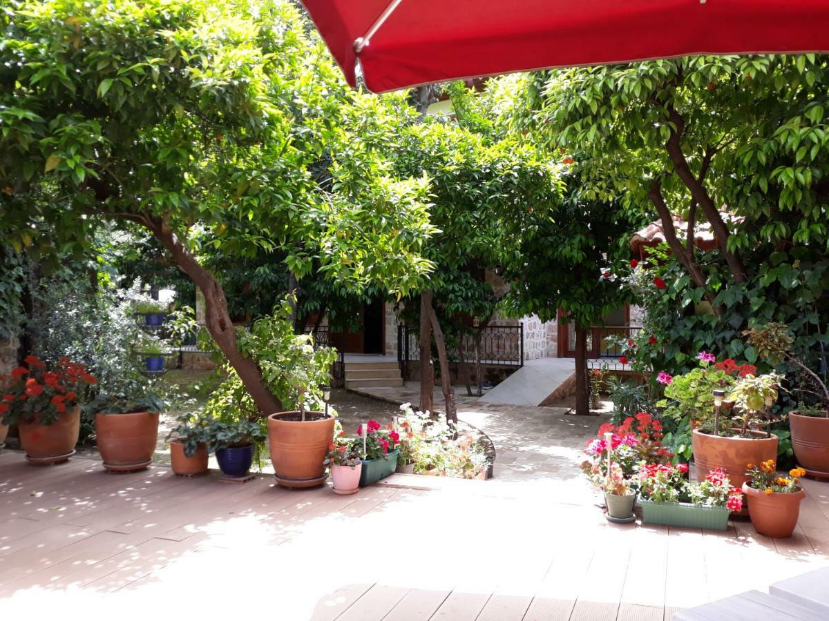 Citrus Garden Hotel أنطاليا المظهر الخارجي الصورة