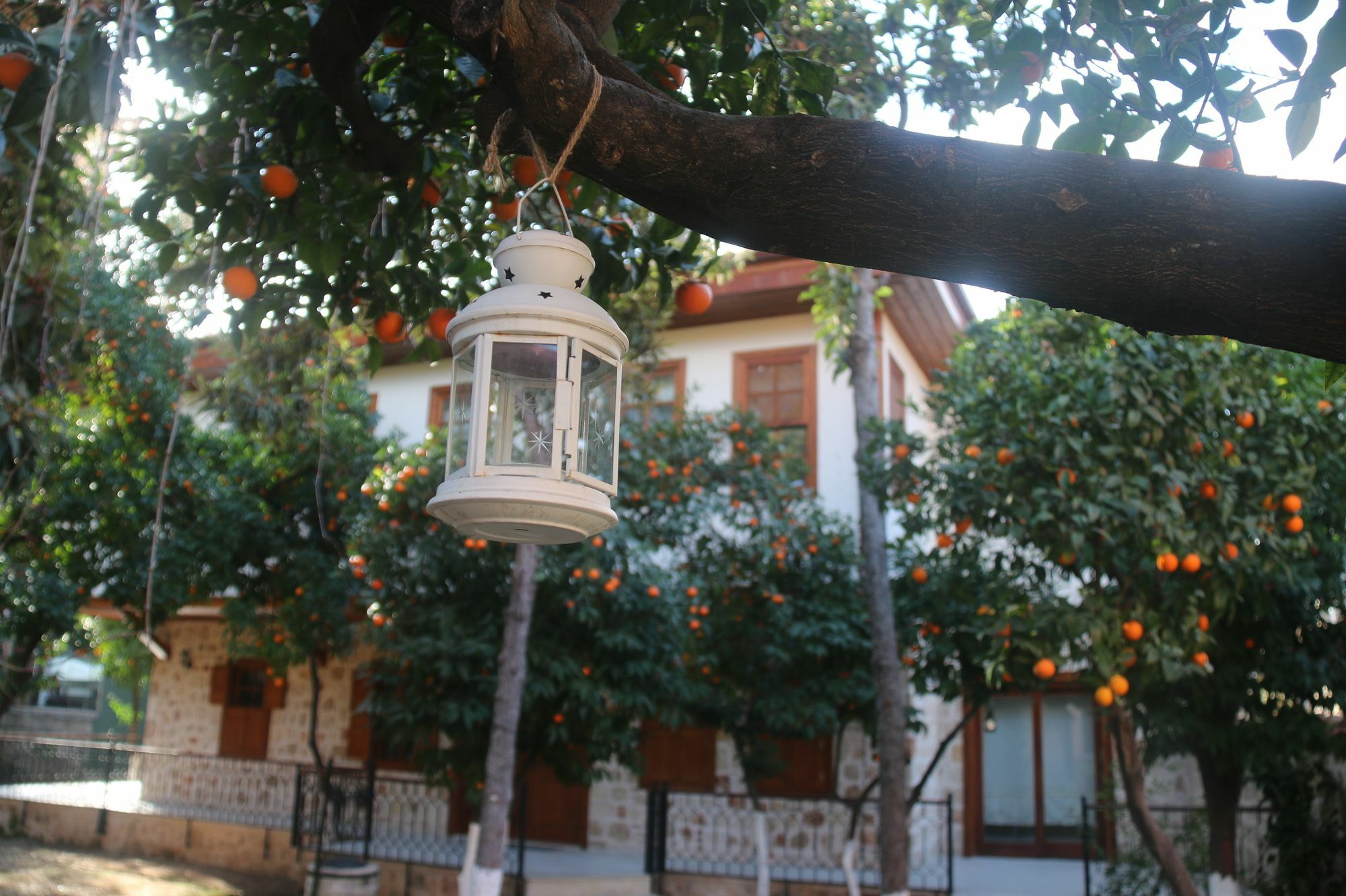 Citrus Garden Hotel أنطاليا المظهر الخارجي الصورة